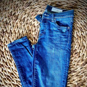 Size 26 Pistola Skinny Jeans